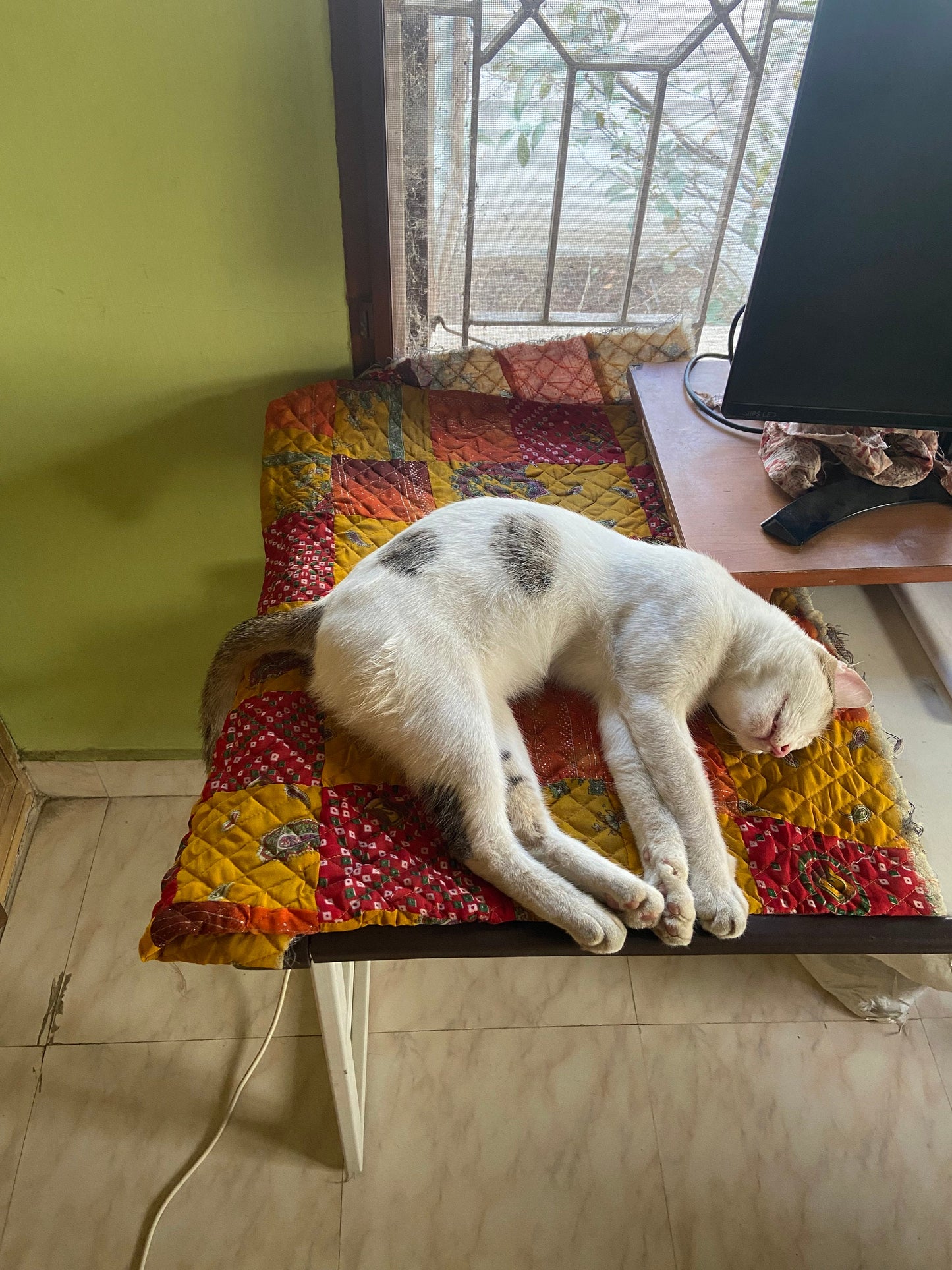 Customizable Patchwork Quilted Pet Mat: 20x20 inch Cozy Comfort