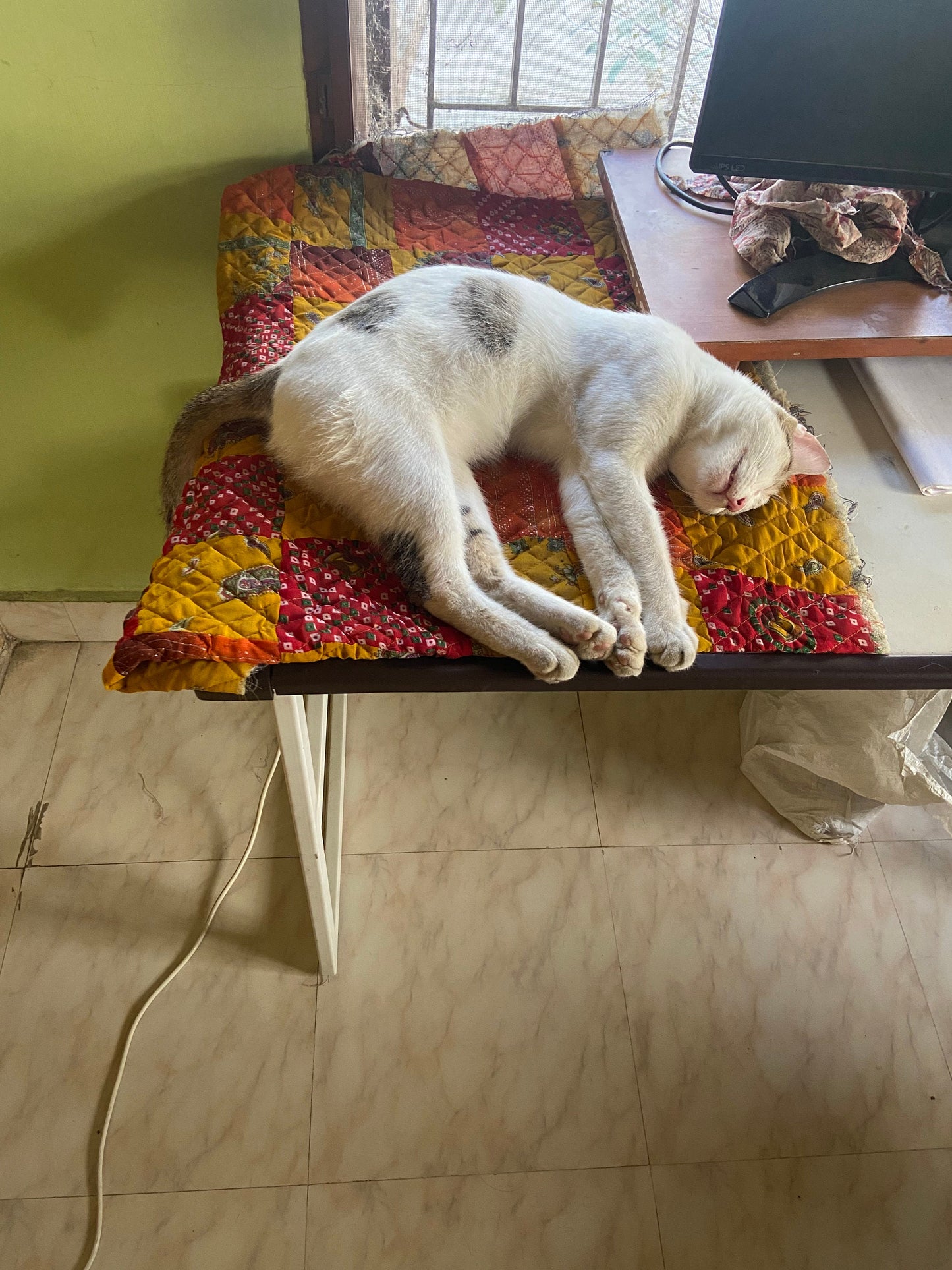 Customizable Patchwork Quilted Pet Mat: 20x20 inch Cozy Comfort