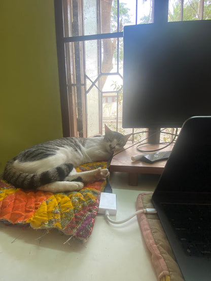 Customizable Patchwork Quilted Pet Mat: 20x20 inch Cozy Comfort