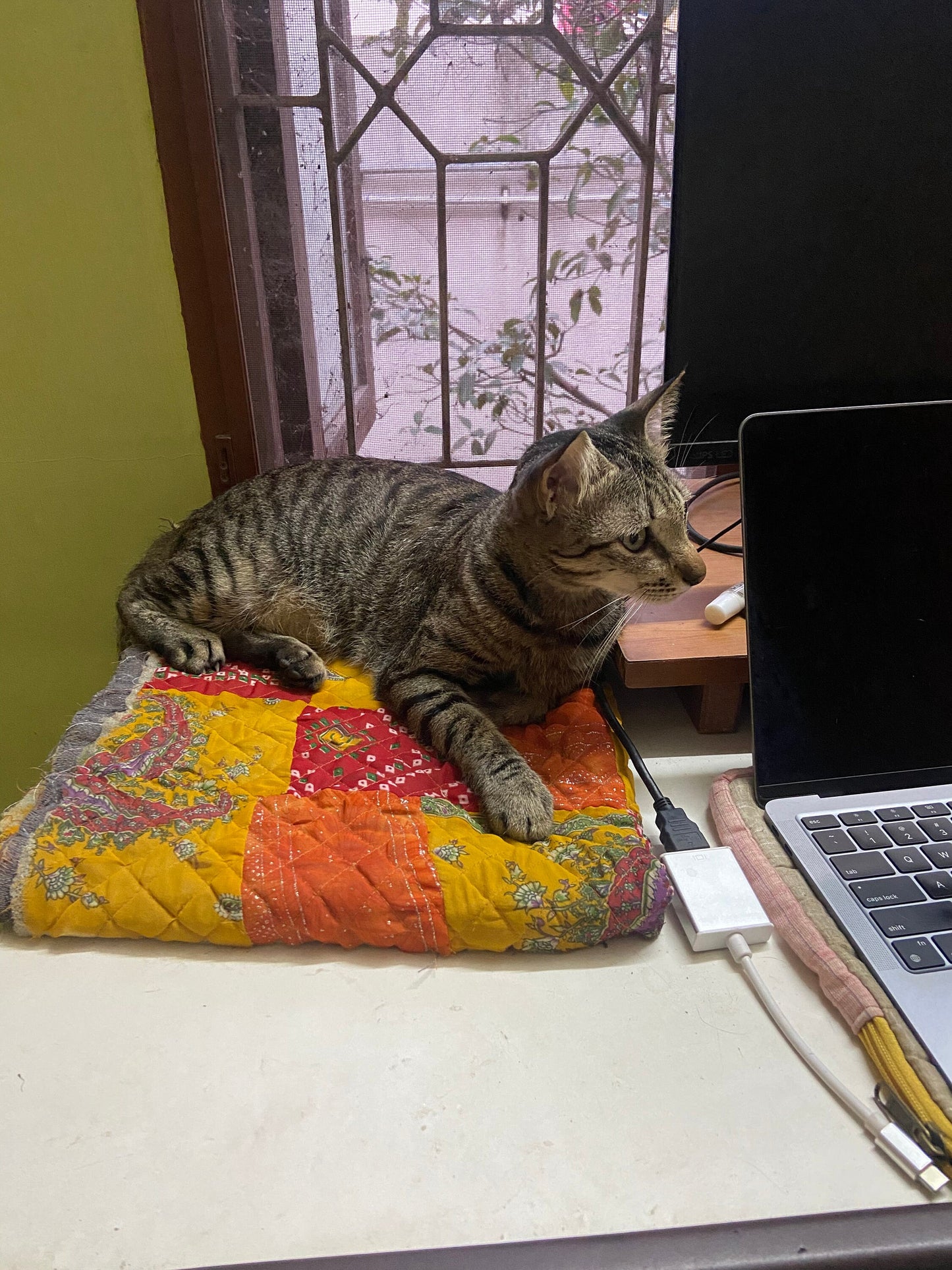 Customizable Patchwork Quilted Pet Mat: 20x20 inch Cozy Comfort